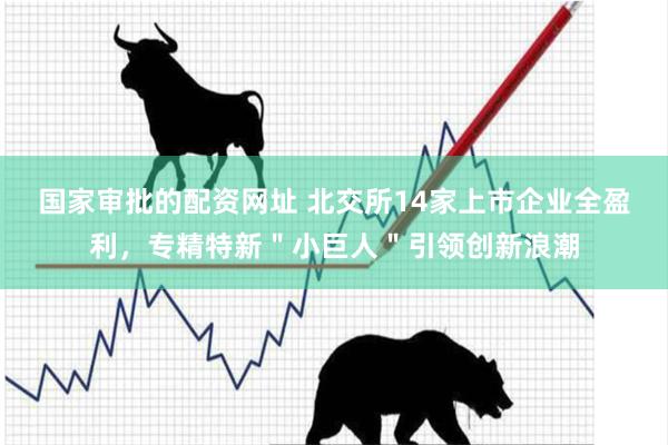 国家审批的配资网址 北交所14家上市企业全盈利，专精特新＂小巨人＂引领创新浪潮