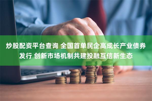 炒股配资平台查询 全国首单民企高成长产业债券发行 创新市场机制共建投融互信新生态
