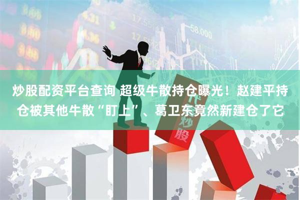 炒股配资平台查询 超级牛散持仓曝光!赵建平持仓被其他牛散“盯上”、葛卫东竟然新建仓了它
