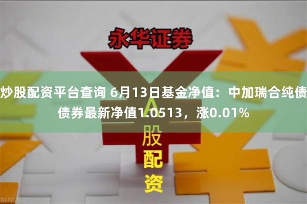炒股配资平台查询 6月13日基金净值:中加瑞合纯债债券最新净值1.0513,涨0.01%
