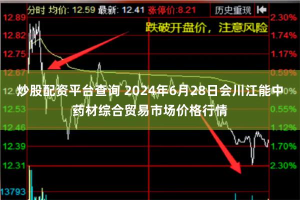 炒股配资平台查询 2024年6月28日会川江能中药材综合贸易市场价格行情