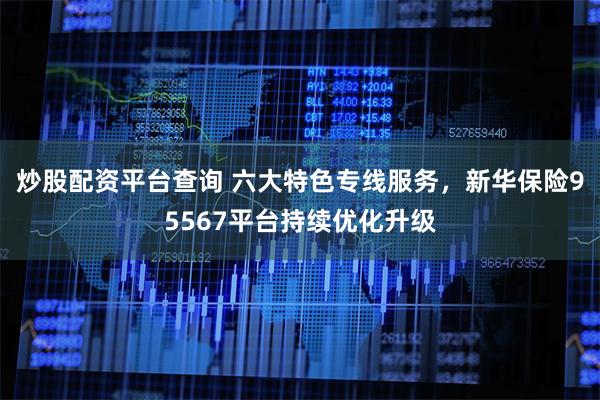 炒股配资平台查询 六大特色专线服务,新华保险95567平台持续优化升级