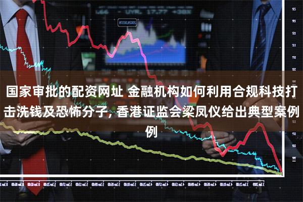 国家审批的配资网址 金融机构如何利用合规科技打击洗钱及恐怖分子, 香港证监会梁凤仪给出典型案例