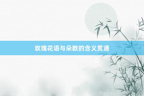 玫瑰花语与朵数的含义贯通