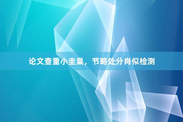 论文查重小圭臬,节略处分肖似检测