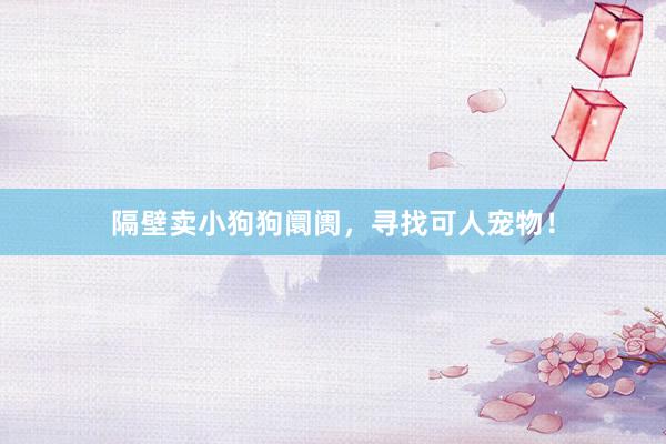 隔壁卖小狗狗阛阓，寻找可人宠物！