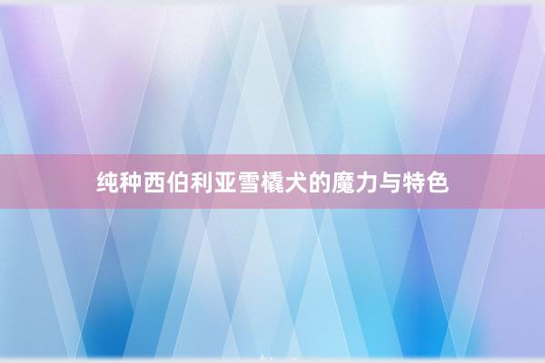 纯种西伯利亚雪橇犬的魔力与特色