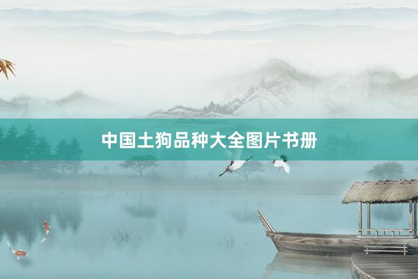 中国土狗品种大全图片书册