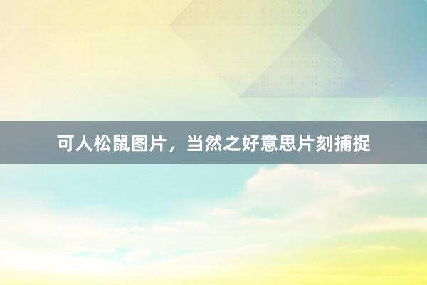 可人松鼠图片，当然之好意思片刻捕捉